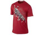 Футболка Jordan Dynamic Evolution Dunk Tee | 589093-695